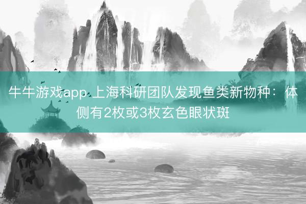 牛牛游戏app 上海科研团队发现鱼类新物种：体侧有2枚或3枚玄色眼状斑