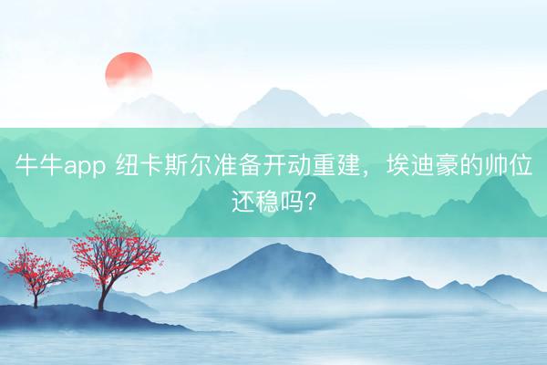 牛牛app 纽卡斯尔准备开动重建，埃迪豪的帅位还稳吗？